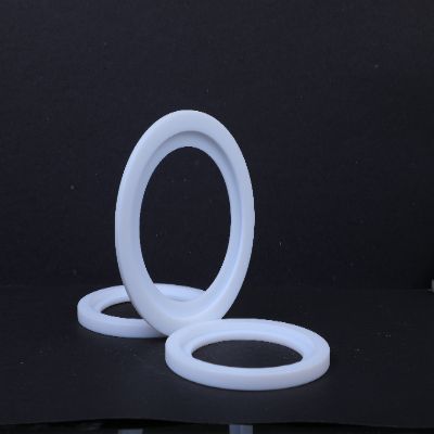 PTFE Ring
